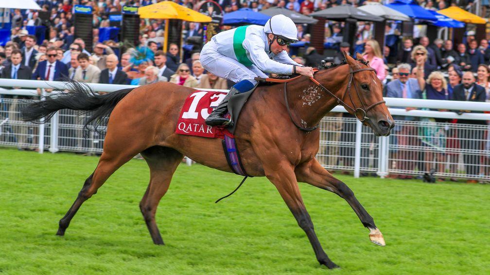 Susea: bolted up at Goodwood and now bids to keep the Prix de l'Abbaye at home