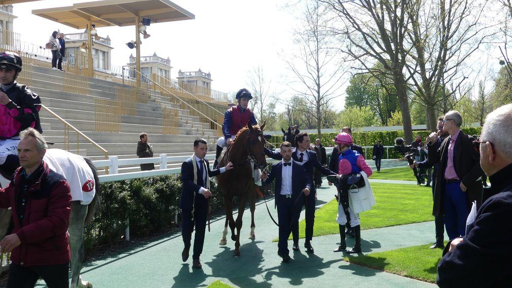 Alerio: one of two promising maiden winners on an excellent Sunday for Adlerflug
