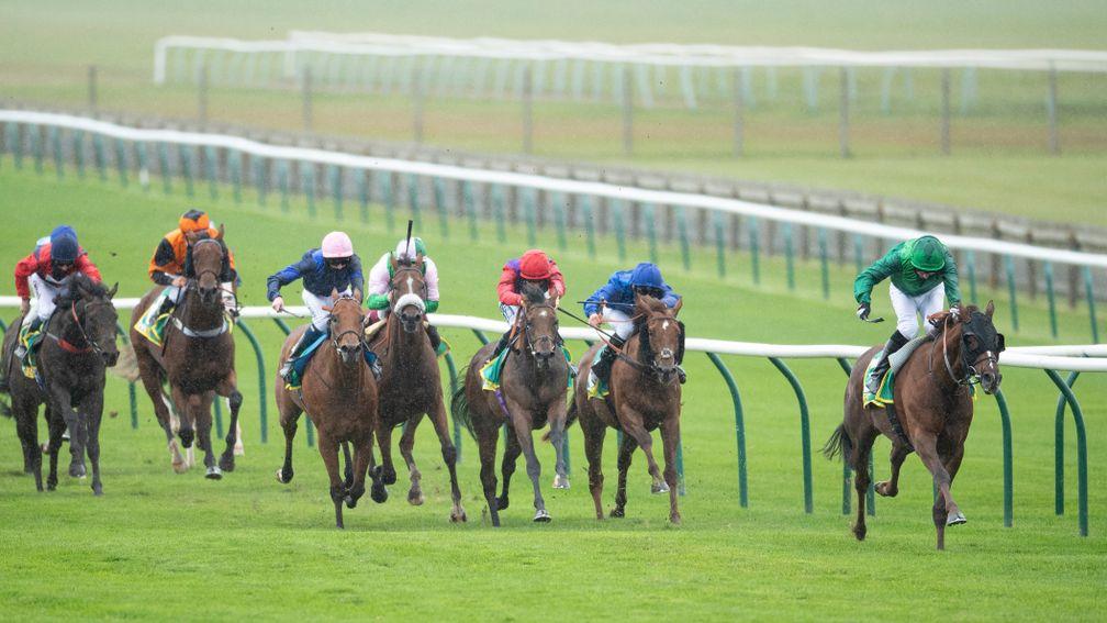 Majestic Dawn hacks up in the Cambridgeshire, winning by four-and-three-quarter lengths