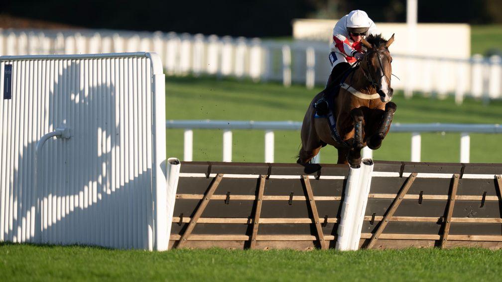 Goshen profited from Constitution Hill's absence to land the Coral Hurdle