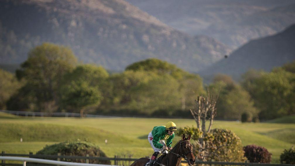 Day three of the Killarney festival continues this evening
