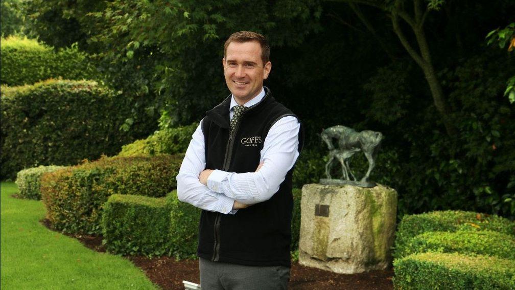 Michael Hardy: joining Goffs as head of sales in the bloodstock department