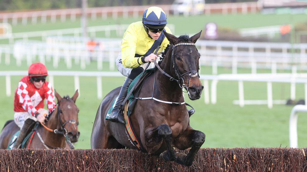 Marine Nationale: not at all pressed to make a winning debut over fences