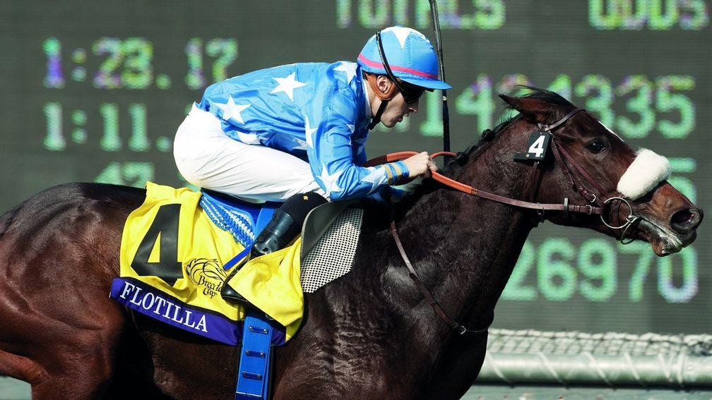 Flotilla won the Breeders' Cup Juvenile Fillies Turf in 2012