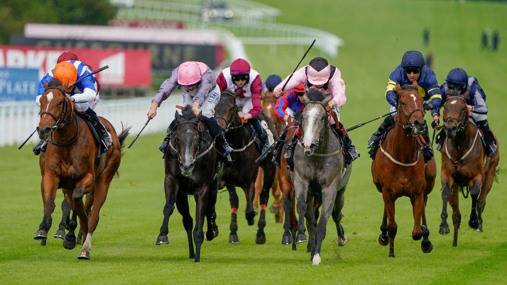 Rosa Mystica (left) wins the seller at Goodwood under William Buick before being bought back in for a record £38,000