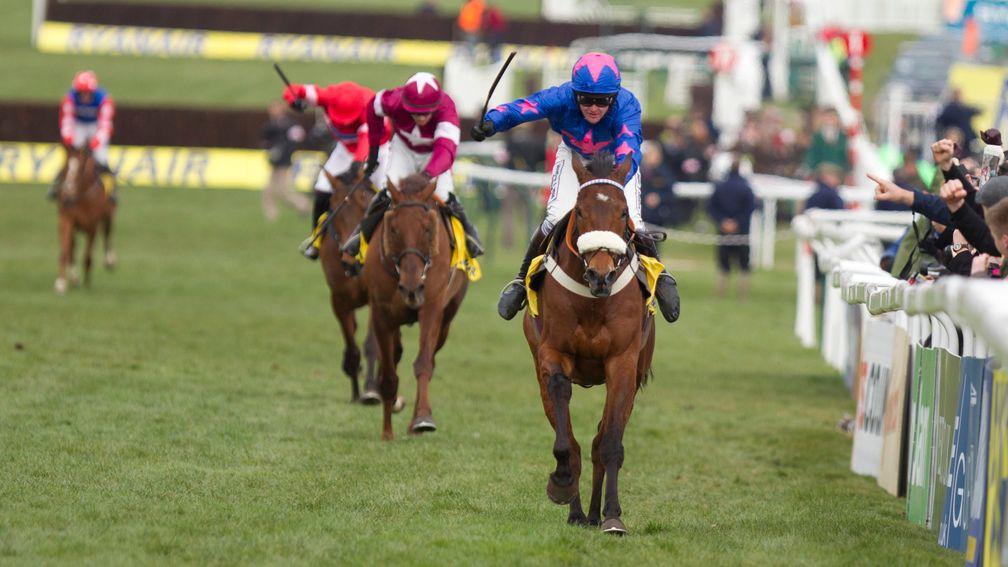 Cue Card: took Colin Tizzard's yard to another level