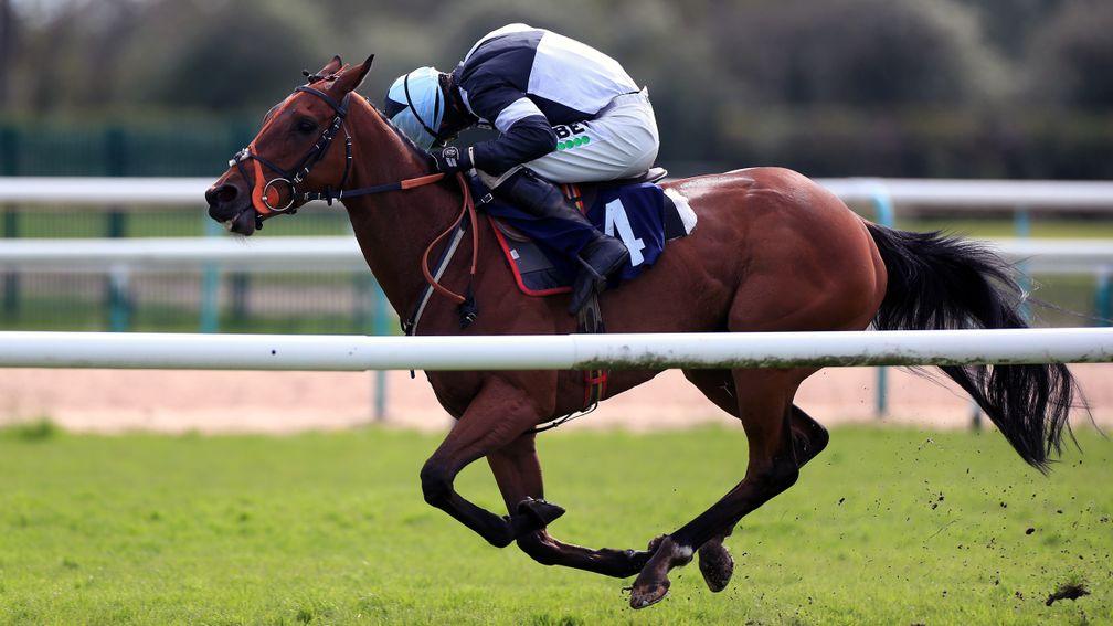 As High Say: claimed a hat-trick for the Fergal O'Brien yard on her chase debut