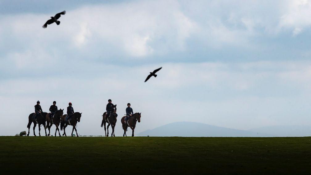 The lifelong welfare of racehorses has risen up the agenda in both Britain and Ireland in recent years