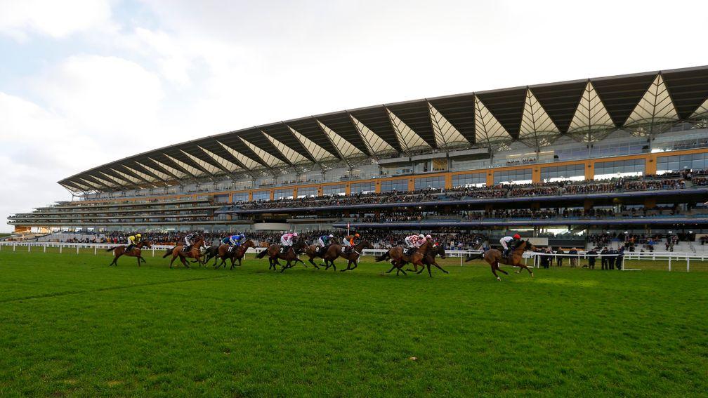 Ascot: stages a nine-runner card on Saturday