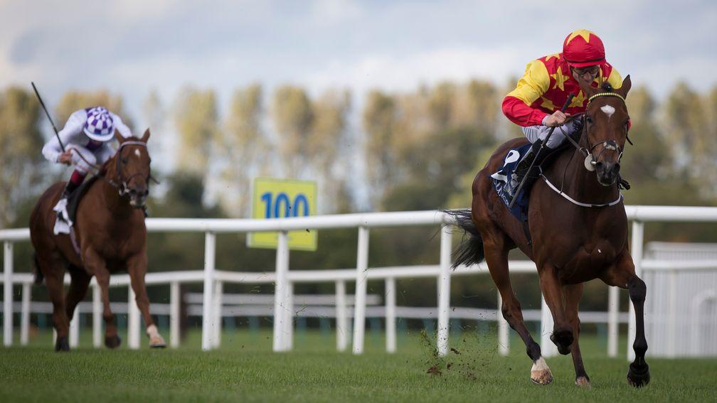 Jet Setting: wins the Group 3 Concorde Stakes at Tipperary