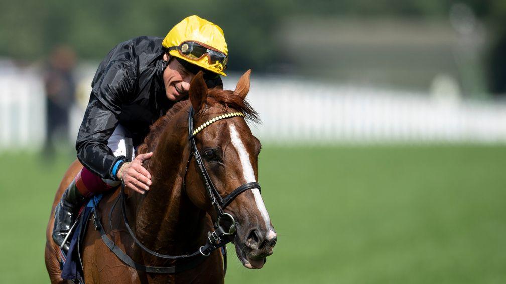 Stradivarius: attempting for a fourth Gold Cup success on Thursday