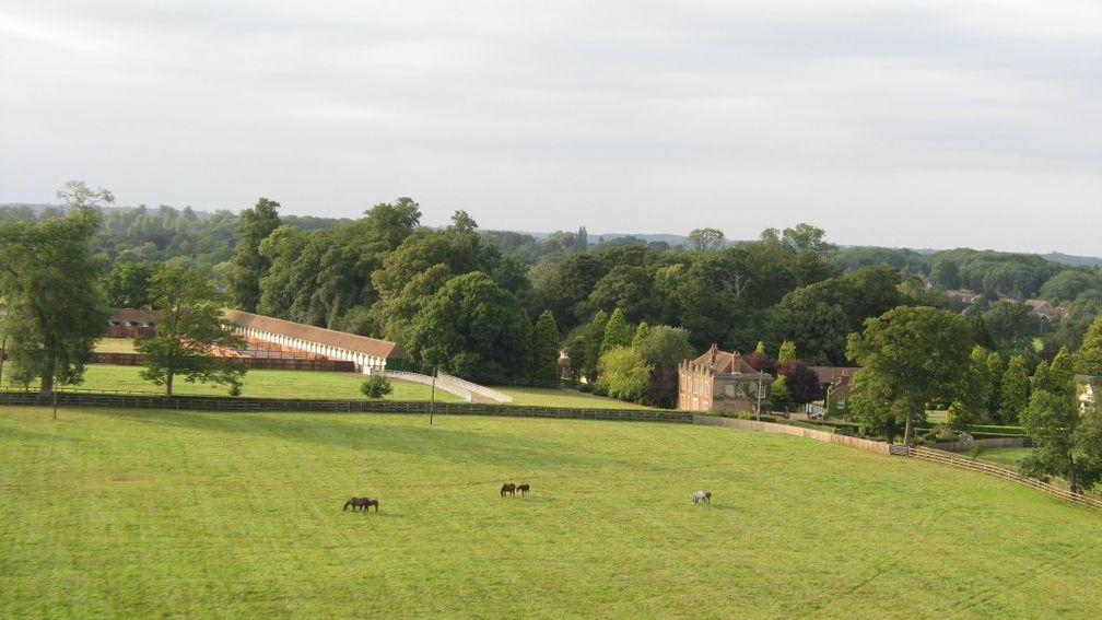 Childwickbury Stud was bought by Paul and Sally Flatt in 2011