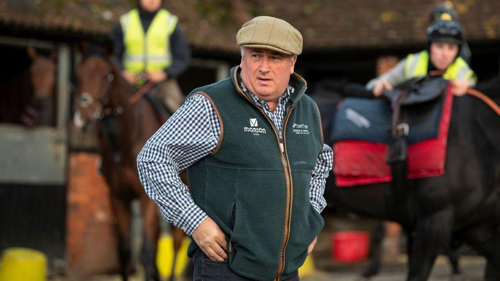 Paul Nicholls: has moved Ludlow runners into isolation