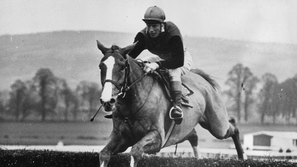 Flyingbolt: one of the greatest jumps horses in history