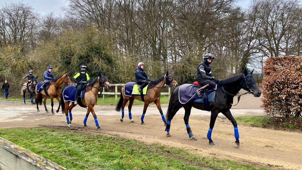 Preparations for Saudi Arabia are underway at John and Thady Gosden's stable