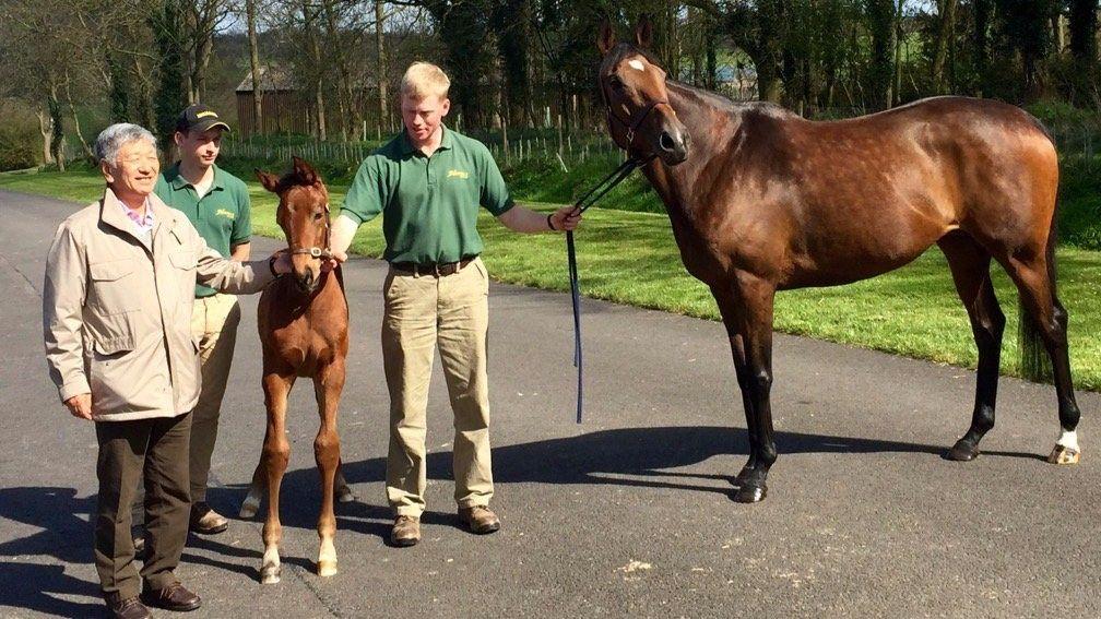 Danedream pictured with Faylaq when he was a foal