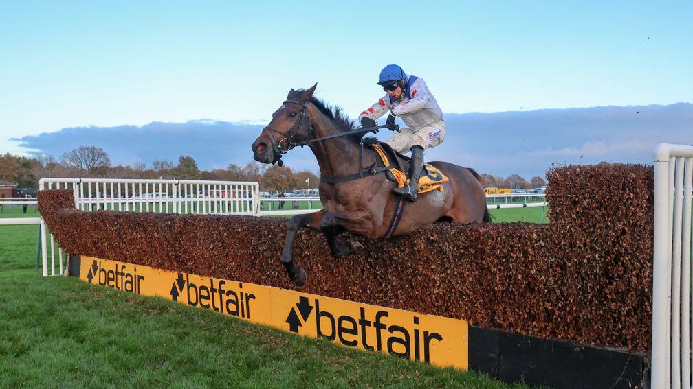 Protektorat: primed to score in the Cotswold Chase for Dan and Harry Skelton