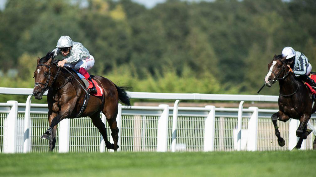 Palace Pier: the star miler could make his return to action in the Group 2 bet365 Mile at Sandown on Friday
