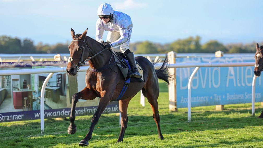 Saint Davy: sixth in a hot race at Uttoxeter last time on ground that wasn't to his liking