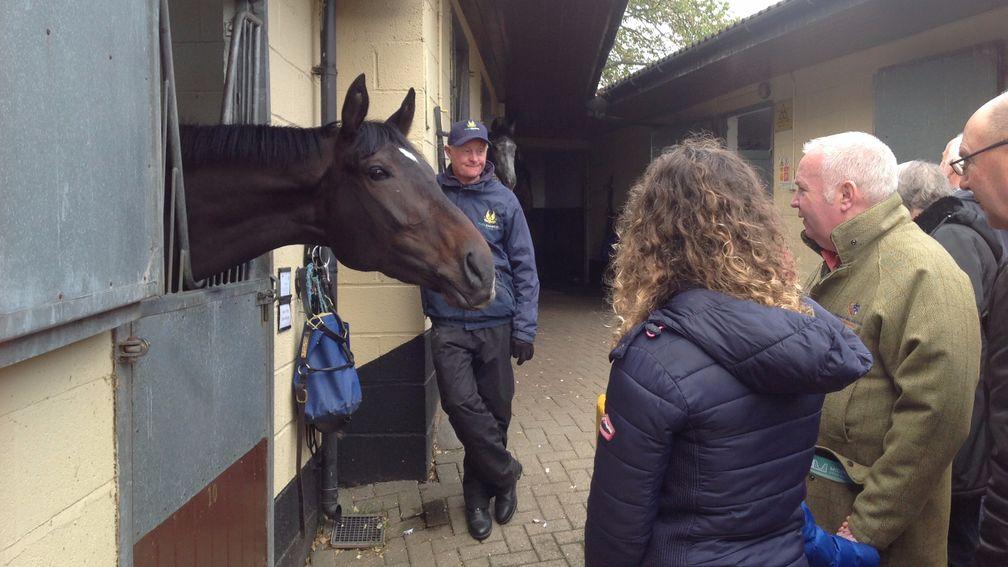 The three-year-old Think So meets his fans as the public visit Mark Johnston's yard on Middleham Open day