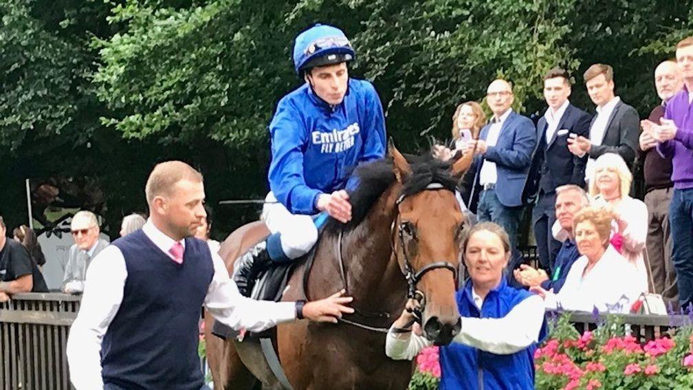 Hafit: made a winning debut at Newmarket on Friday