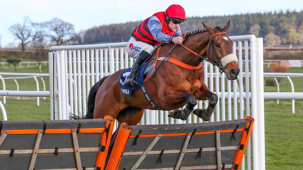 Clondaw Caitlin: won the 2020 Premier Novices' Hurdle at Kelso