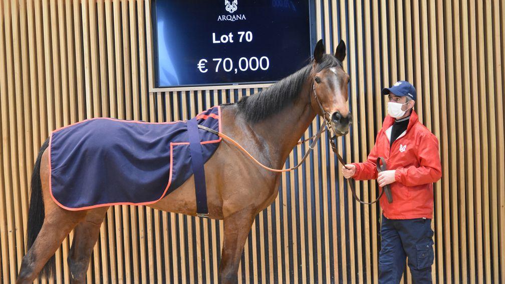 Laskalin was sold to Guy Petit at Arqana for €70,000