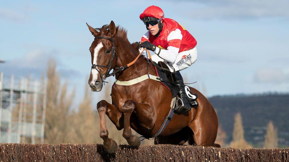 The Big Breakaway: the Colin Tizzard-trained star could contest a novice chase at Exeter