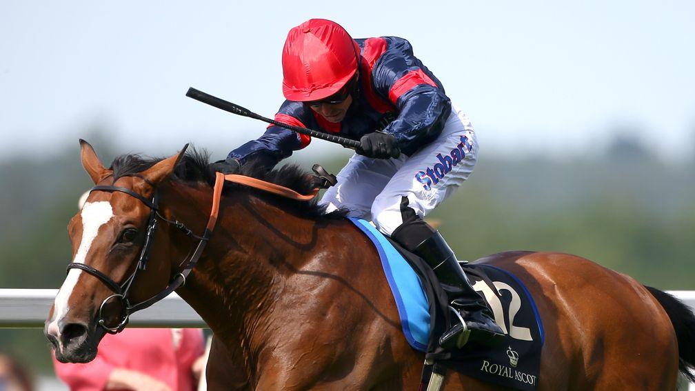 Trip To Paris: won at Ripon in 2015 before taking the Gold Cup at Ascot two months later