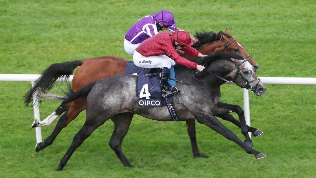 Roaring Lion (nearside) beats old rival Saxon Warrior by a neck in the Irish Champion Stakes