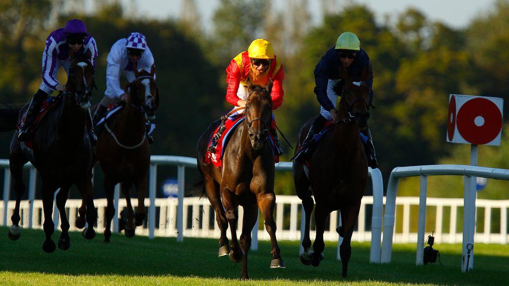 Shining light: Snow Fairy leaves her rivals in the shade as she wins the 2012 Irish Champion Stakes