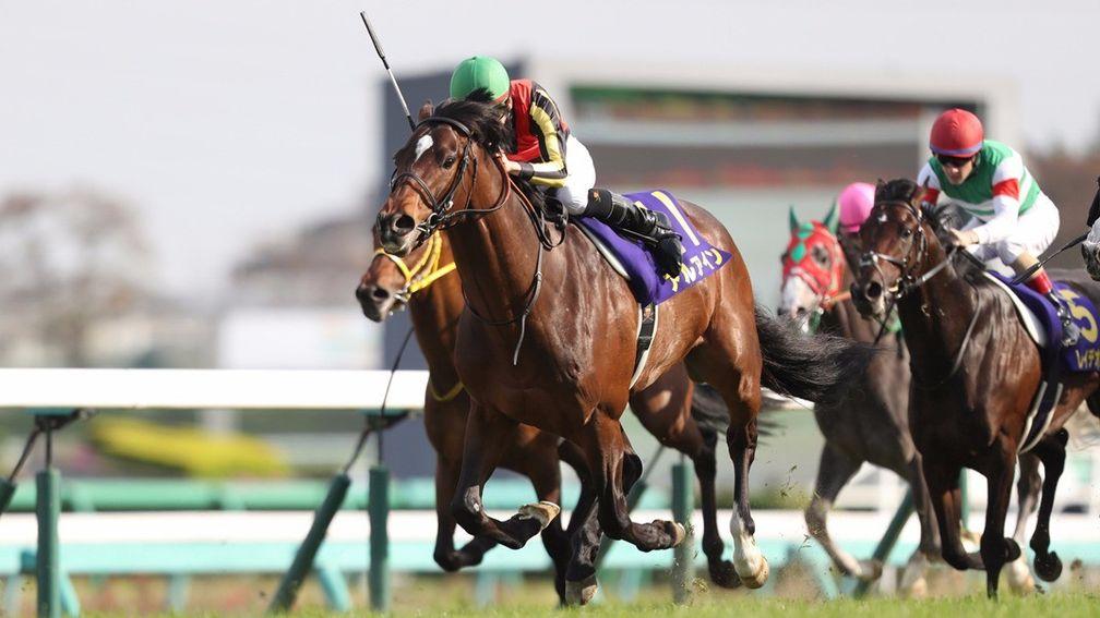 Al Ain: is by outstanding Japanese sire Deep Impact