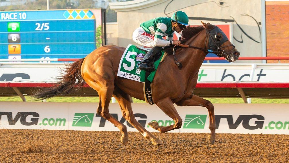 Accelerate: drawn widest of all in stall 14