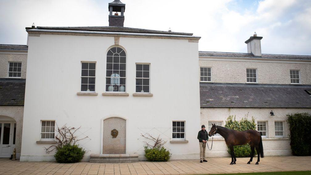 Sea The Stars is paraded by stallion man Ray Moore at the Aga Khan's Gilltown Stud