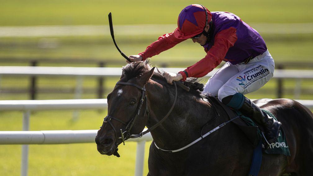 Romanised: two-time winner of the Minstrel Stakes now retired to stud