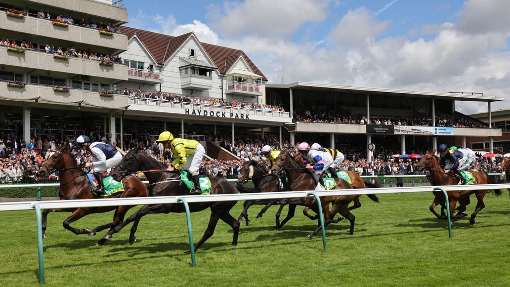 Align The Stars wins the 1m6f handicap at Haydock which was beset by problems on the home bend