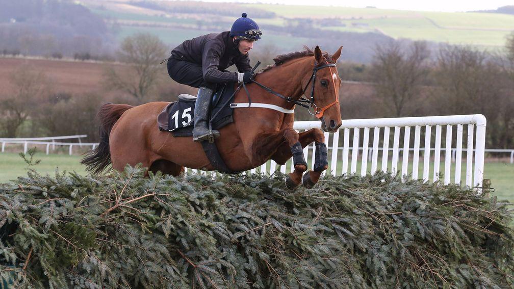 Definitly Red: practice over a National-style fence at home could not save him from ill luck at Aintree