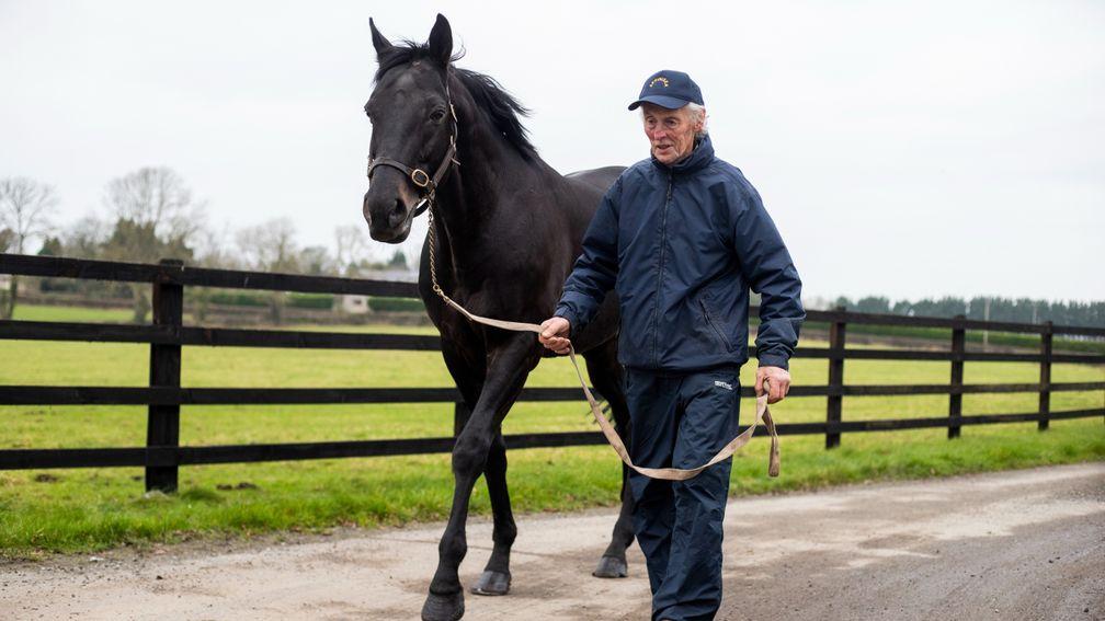 Ronnie O'Neill and Affinisea enjoying a stroll at Whytemount Stud on Tuesday