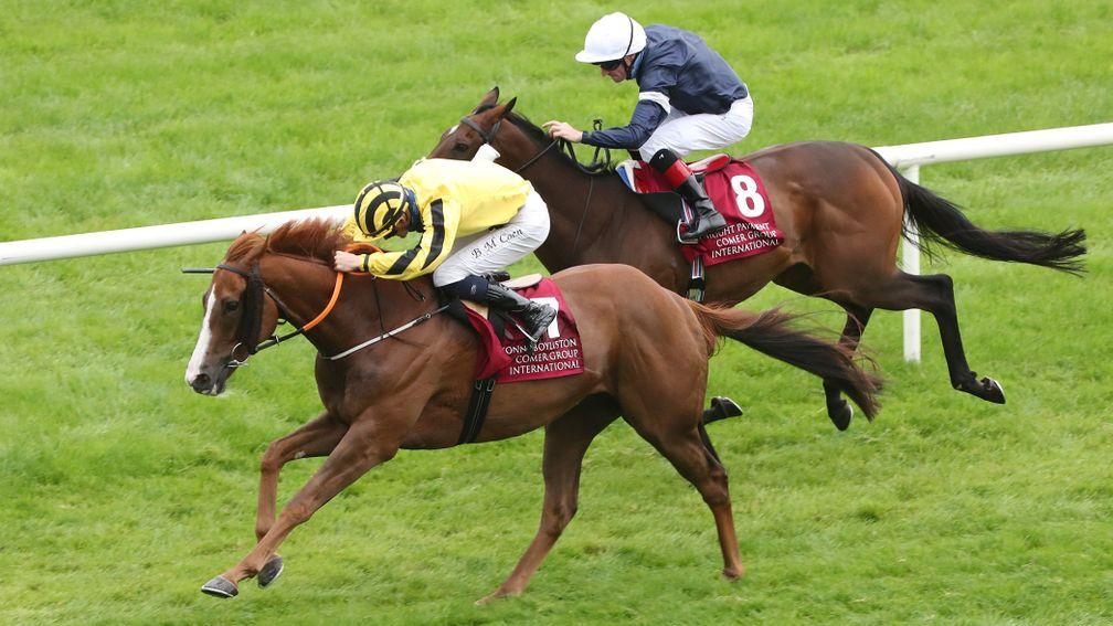 Sonnyboyliston wins the Irish St Leger by under a length from Twilight Payment