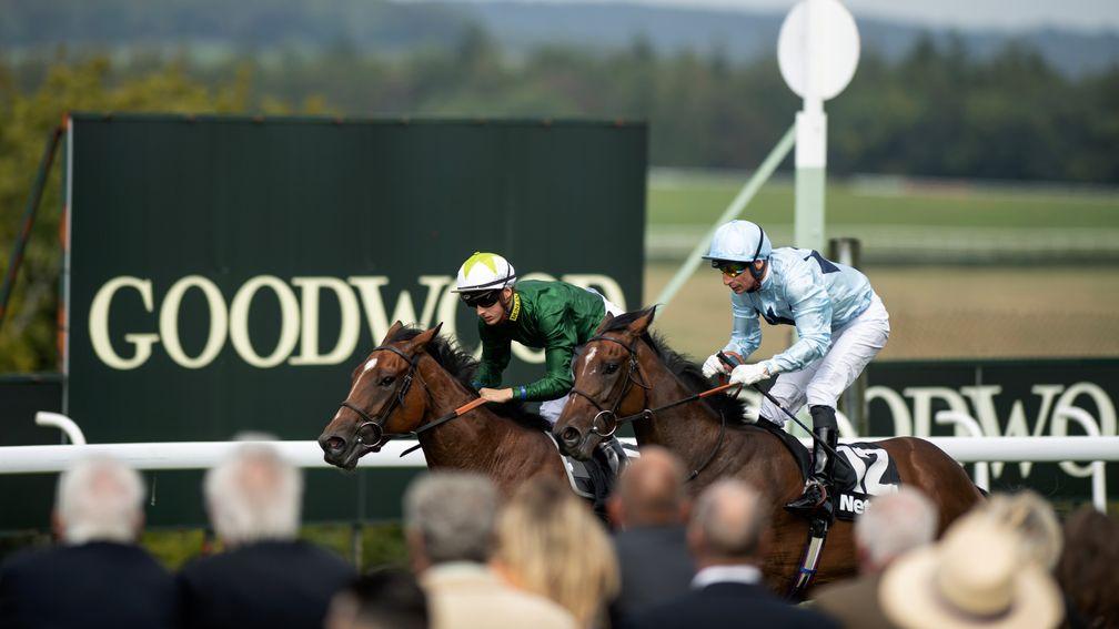 Glance (green) ran well in France last time