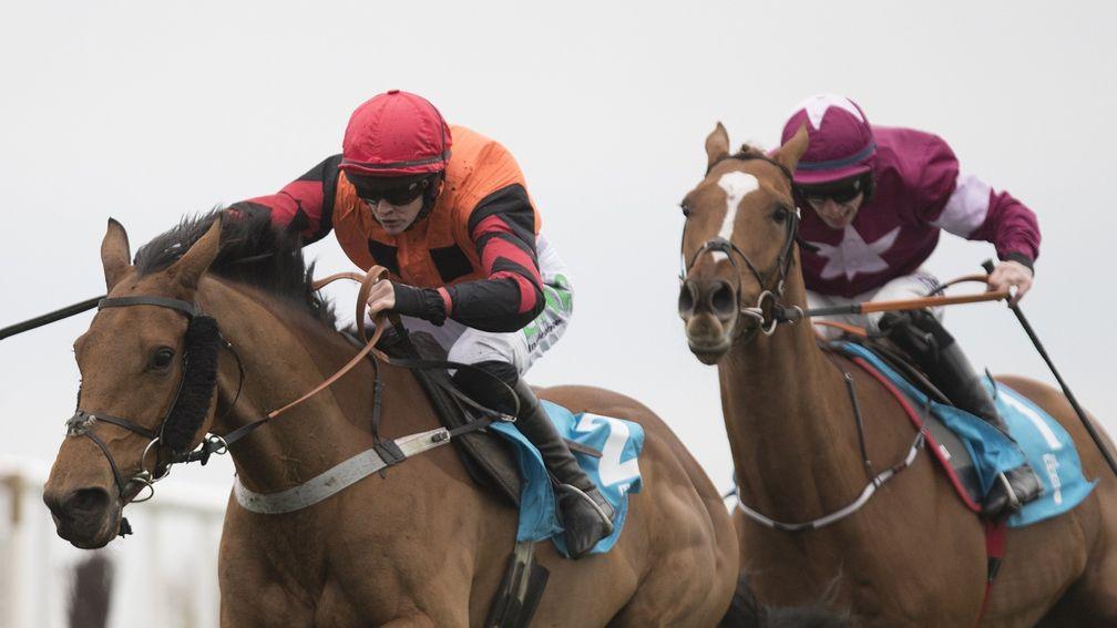Bedrock (left): defeated Samcro in the WKD Hurdle at Down Royal last year when trained by Iain Jardine