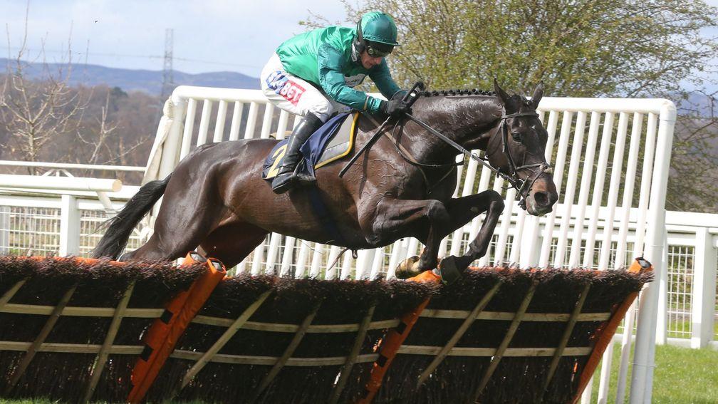 Calett Mad (Daryl Jacob): easy winner of the Listed novice hurdle