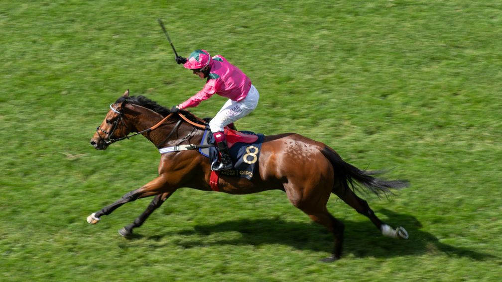 Oxted: the son of Mayson lands the King's Stand Stakes