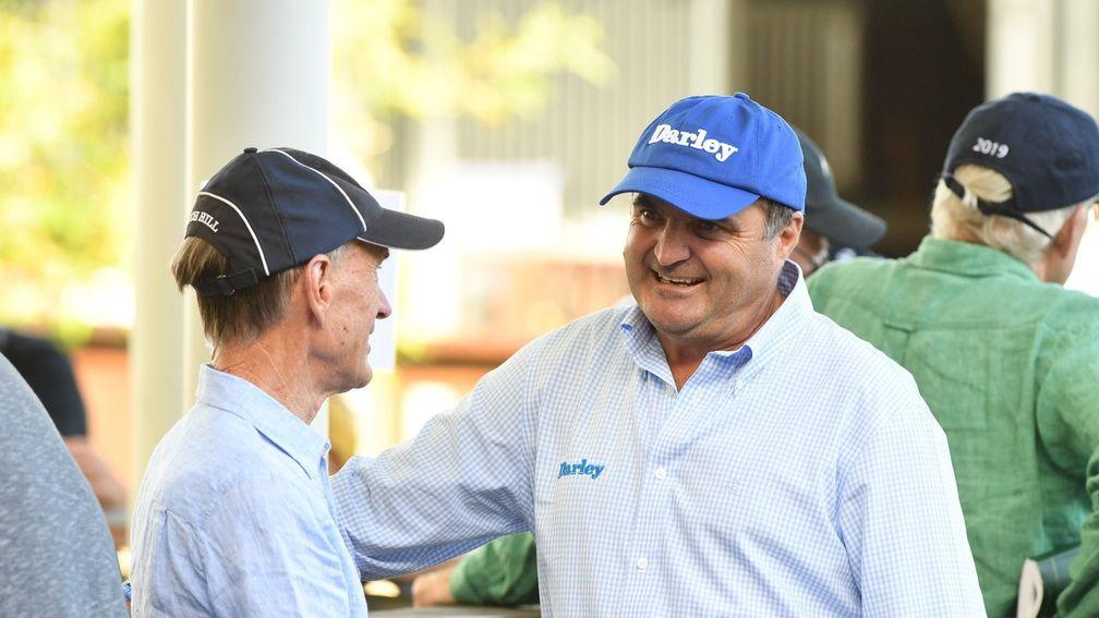 Vin Cox: 'The market is insatiable, whether you’re selling yearlings, weanlings or mares'