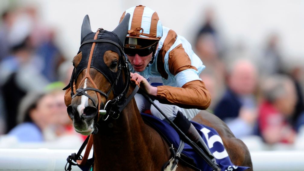 Caspian Prince: going to race in Dubai in January