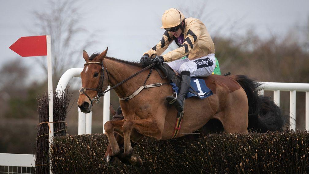 Ballyward: goes for last year's winning combination of Willie and Patrick Mullins