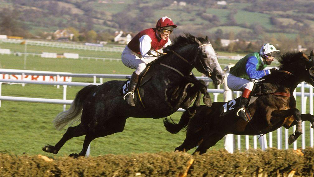 A different discipline but the same colours as Kribensis and Richard Dunwoody head for victory in the 1990 Champion Hurdle