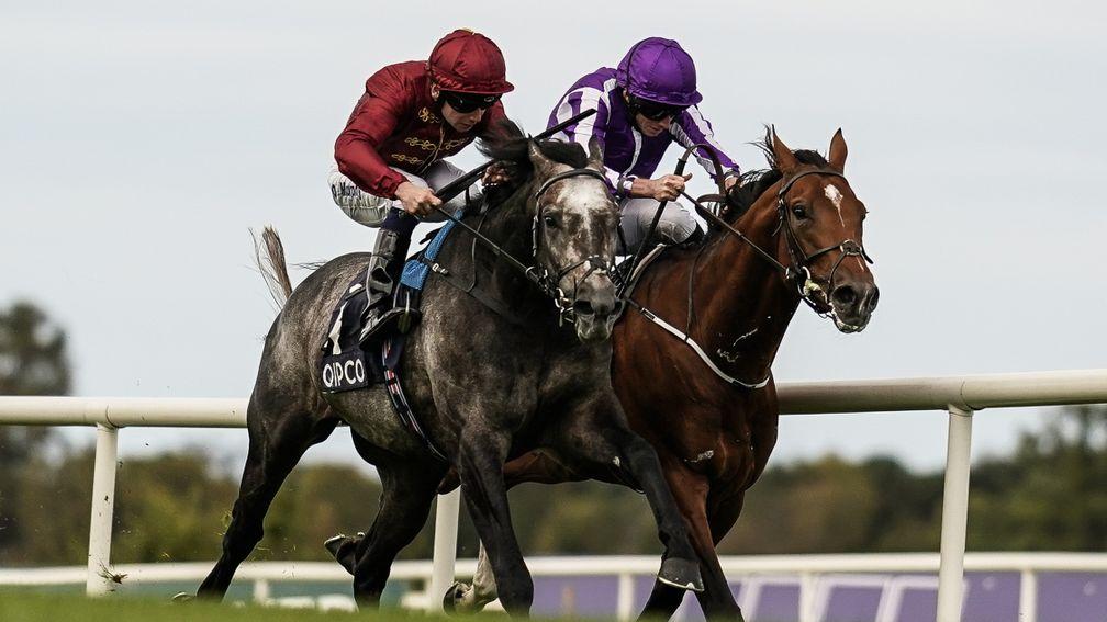 Saxon Warrior (right) loses out by a neck to Roaring Lion in a thrilling Irish Champion Stakes