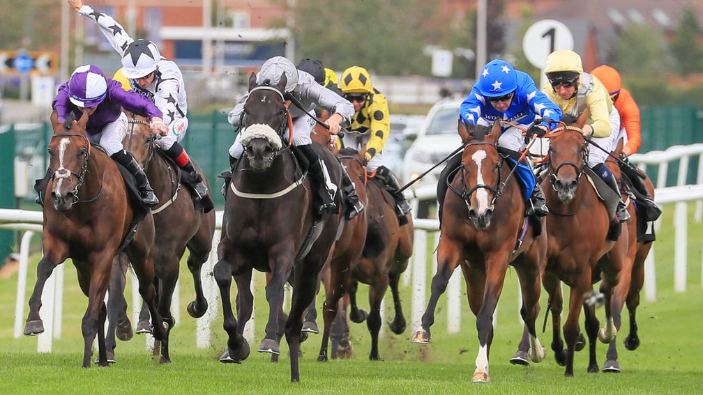 Tardis (blue): showed a wicked turn of foot to win the Listed St Hugh's Stakes earlier this season