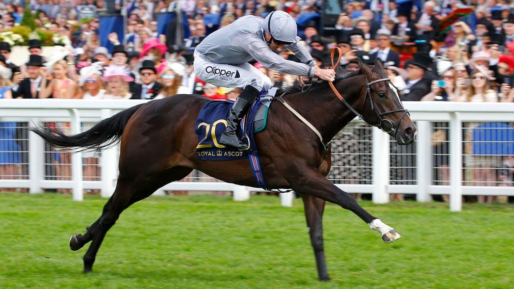 Soldier's Call: son of Showcasing storms to victory in the Windsor Castle Stakes